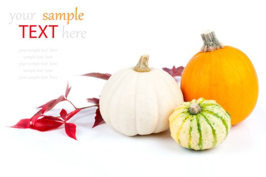 Autumn pumpkins with red leaves, isolated on the white background