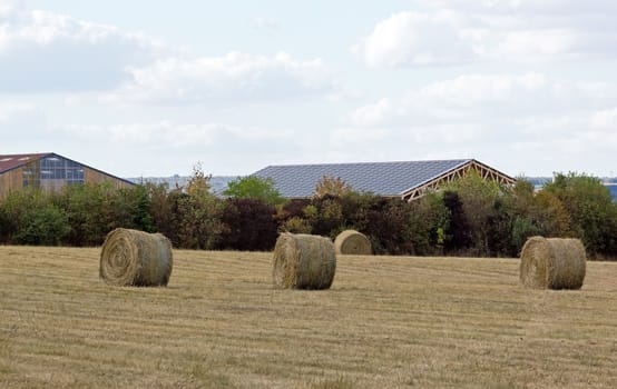 straw in a field, at the end of the summer