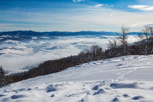Image of Carpathian mountains in winter