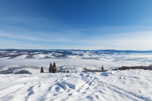 Image of Carpathian mountains in winter