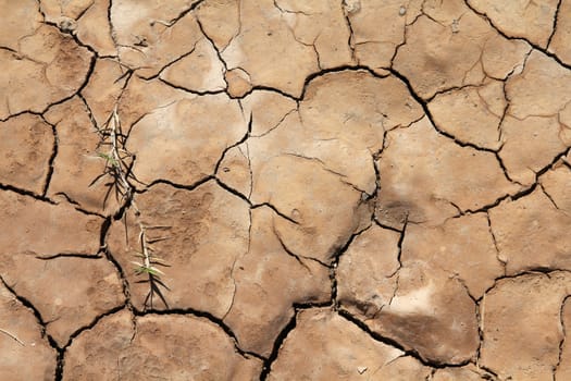 Greenhouse effect and global warming - dry cracked soil in Cuba