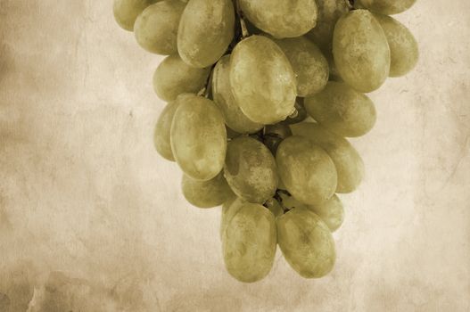old  grunge paper texture and wet grapes