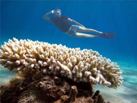 young diver poses on the background of coral in the Red Sea