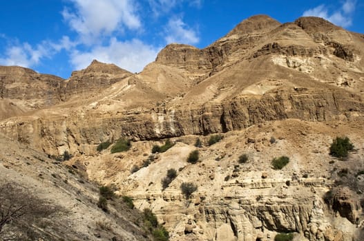 beautiful landscape in the Judean Hills, in a neighborhood the Dead Sea, Israel