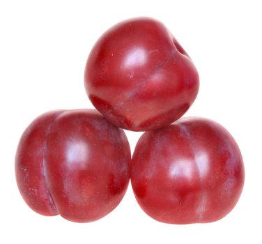 Ripe plums on a white background.