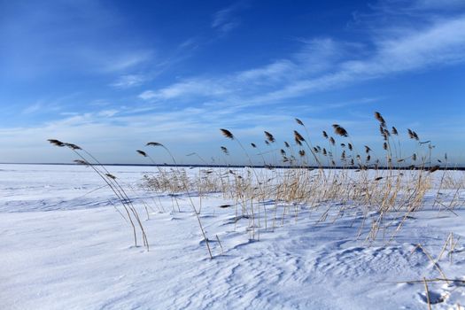 frozen sea looking like white snowy desert