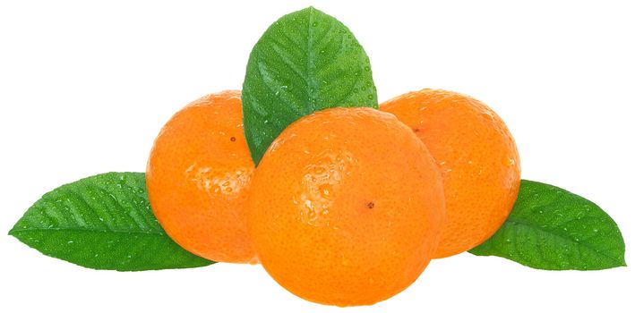 Ripe tangerines on a white background