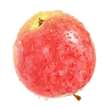 Ripe apple on a white background.