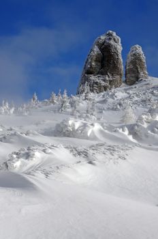 Winter scene on a mountain