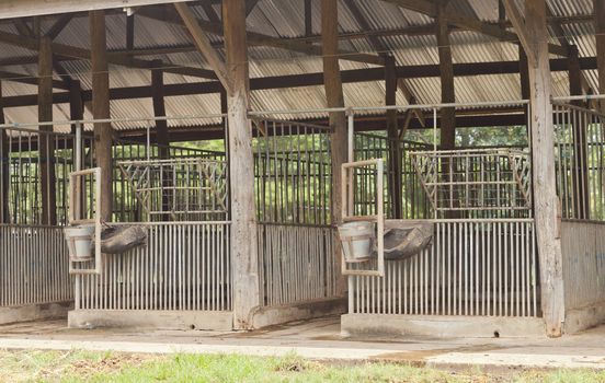 Empty poor horse barn