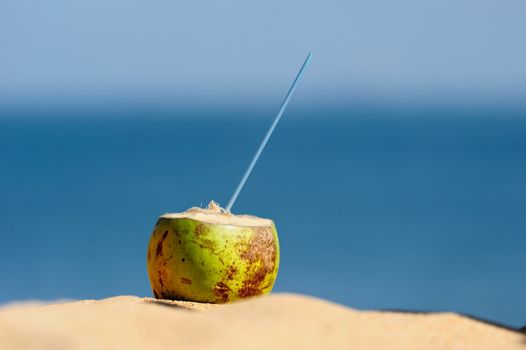 Coconut with drinking straw on the sand at the sea