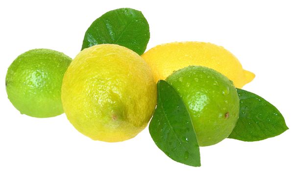 Fresh limes and lemons on a white background.