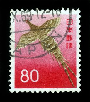JAPAN - CIRCA 1965: A stamp printed in Japan shows image of a game bird, copper pheasant , circa 1965