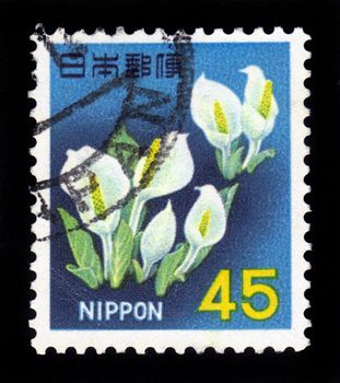 JAPAN - CIRCA 1966: A stamp printed in Japan shows Skunk Cabbage, circa 1966