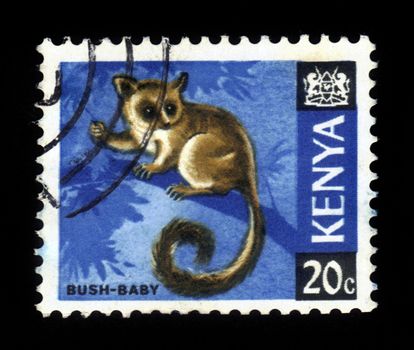 KENYA - CIRCA 1968: A stamp from Kenya shows image of a Senegal bushbaby (Galago senegalensis), circa 1968