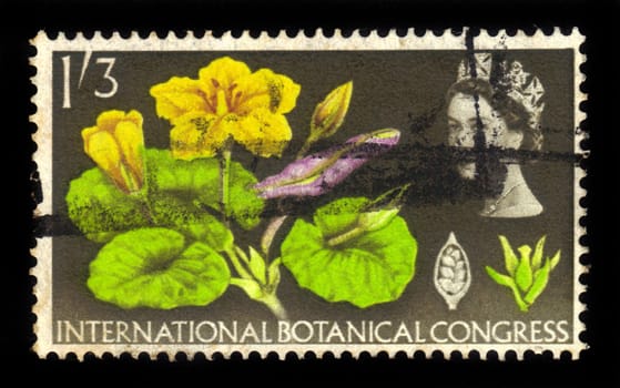UNITED KINGDOM - CIRCA 1964: A stamp printed in Great Britain dedicates to Botanical Congress , shows Queen Elizabeth II and fringed water lily (Limnanthemum nymphaeoides), circa 1964