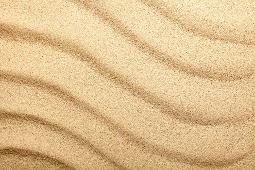 Sandy beach. Sand texture for background. Top view