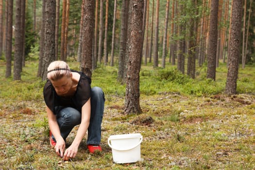 Woman in the forest picking up Mushrooms