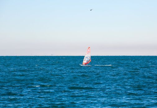 View of a Windsurfer in the Trieste sea