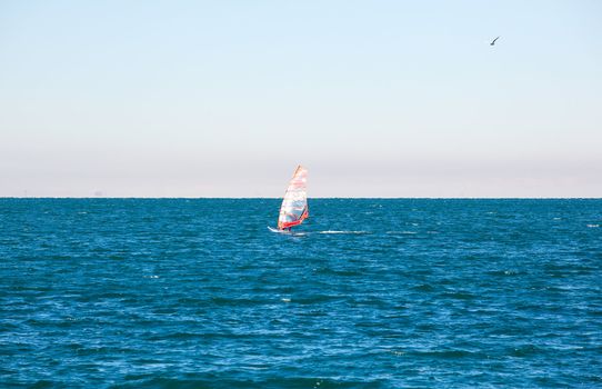 View of a Windsurfer in the Trieste sea