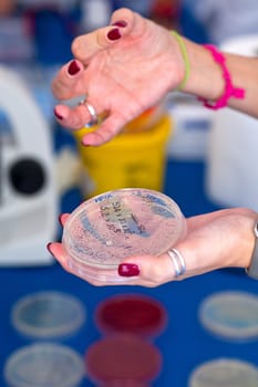 Hand of woman holds petri dish
