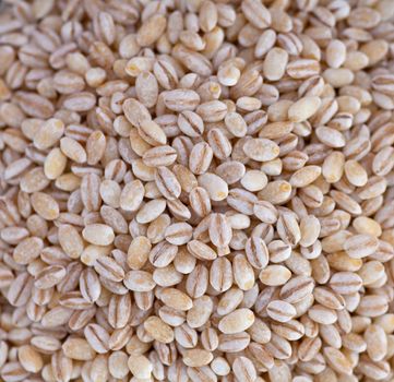 Background with wheat berries