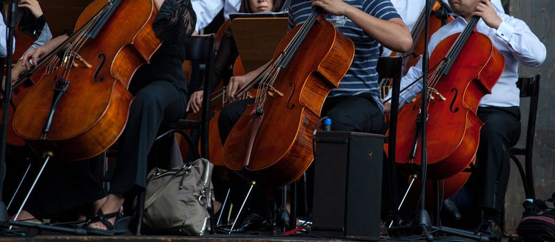 View of the Orchestra in concert - Cello musical instrument