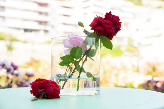 Red roses inside the glass pot
