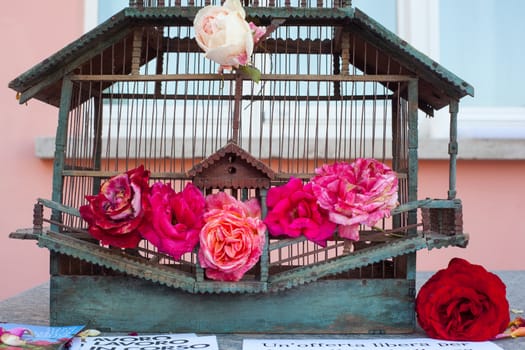 Red Roses inside the old bird cage