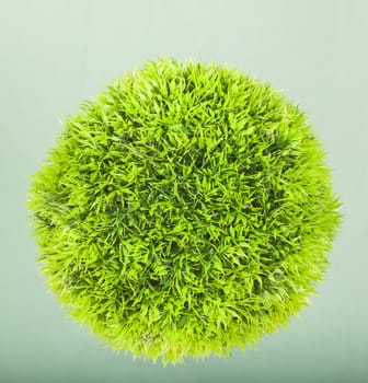 Photo of a Green ball grass isolated on green background