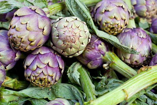 Close up of Fresh green artichokes, farmer's market