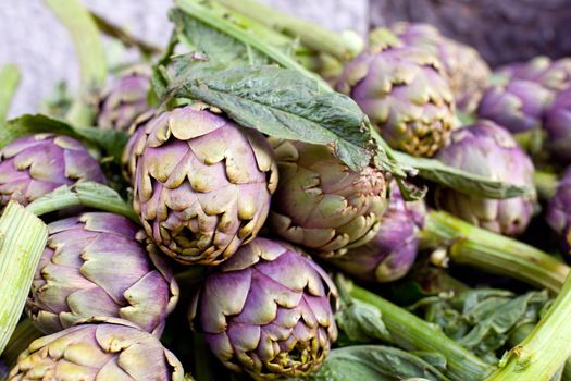 Close up of Fresh green artichokes, farmer's market