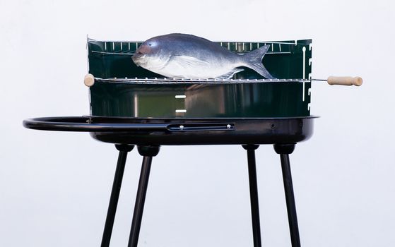Photo of Fake barbeque with plastic toy fish