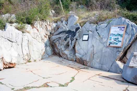 Photo of Dinosauro Antonio, Tethyshadros insularis