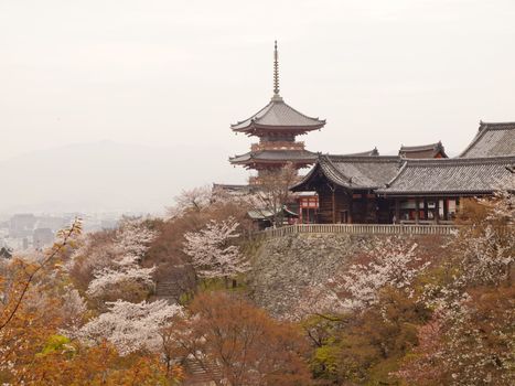 A pagoda in Kiyomizudera temple during cherry blossom season in kyoto, Japan