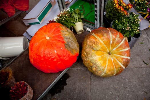 Photo of Two big pumpkins on the street