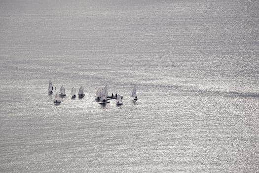 A lot of sailboats on the Trieste sea