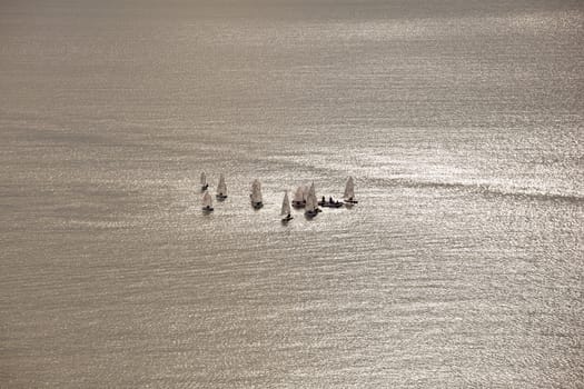 A lot of sailboats on the Trieste sea