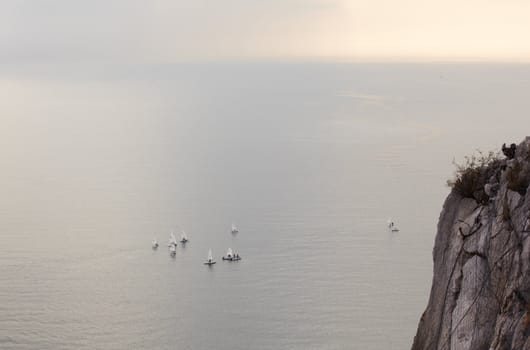 A lot of sailboats on the Trieste sea