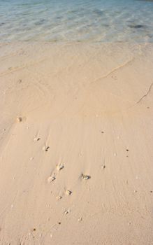 sand beach background