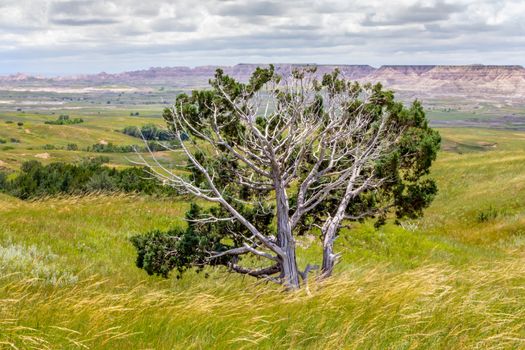 Grasslands Meet the Badlands in South Dakota, USA.