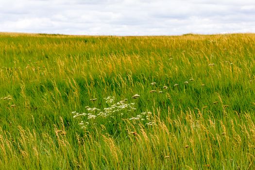 Grasslands Meet the Badlands in South Dakota, USA.