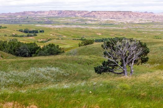 Grasslands Meet the Badlands in South Dakota, USA.