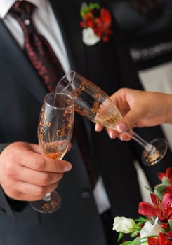 bride and groom a clink glasses. Wedding couple