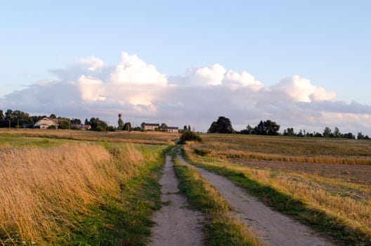 rural gravel road between agriculture fields and farm buildings and clouds in sky.
