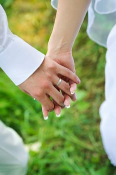 bride and groom to hold hands. Family harmony