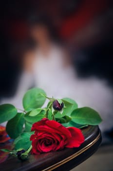 red wedding rose in foreground on a blur backgrounds with bride