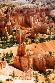 spectacular Hoodoo rock spires of Bryce Canyon, Utah, USA