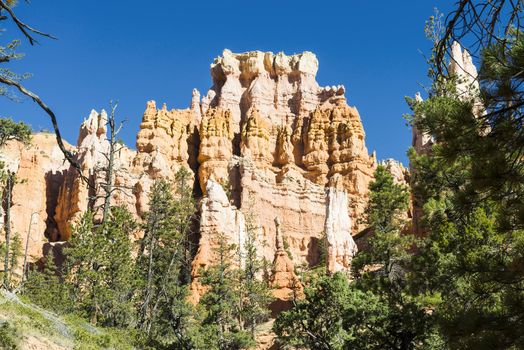 spectacular Hoodoo rock spires of Bryce Canyon, Utah, USA