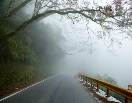 Mountain road in Taiwan on a foggy day